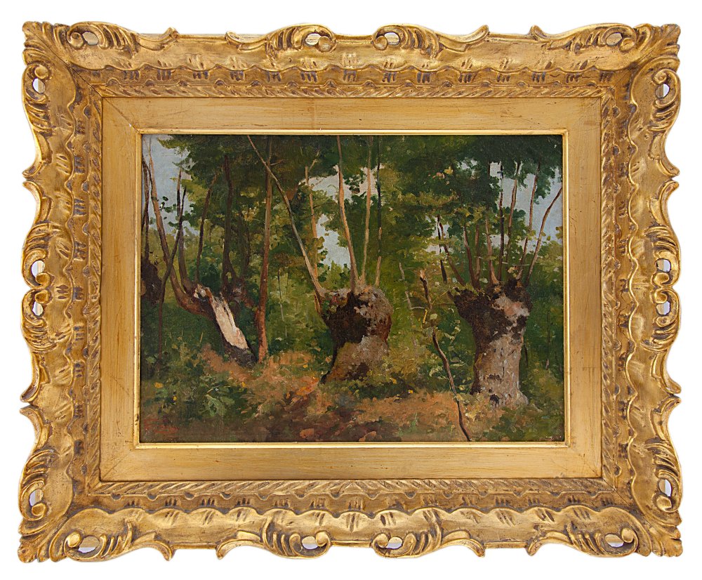 pietro senno: Gelsi